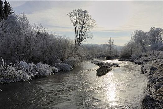 冬天,风景,白霜,河流,蓝天,早晨,太阳
