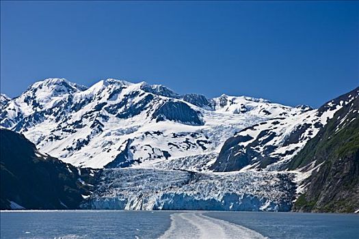 冰河,峡湾,风景,甲板,游船,威廉王子湾,阿拉斯加