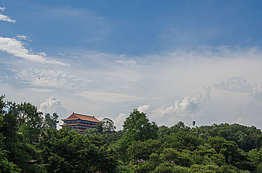 番禺区莲花山风景