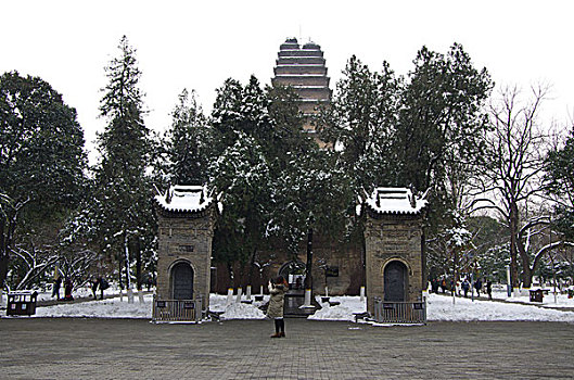 陕西西安小雁塔雪景