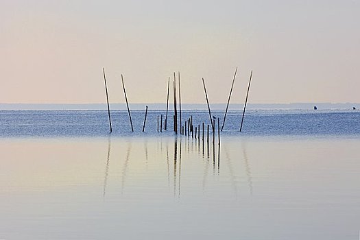 芦苇,湖,梅克伦堡,湖区,德国