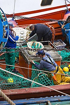 捕鱼者,菲尼斯泰尔,布列塔尼半岛,法国