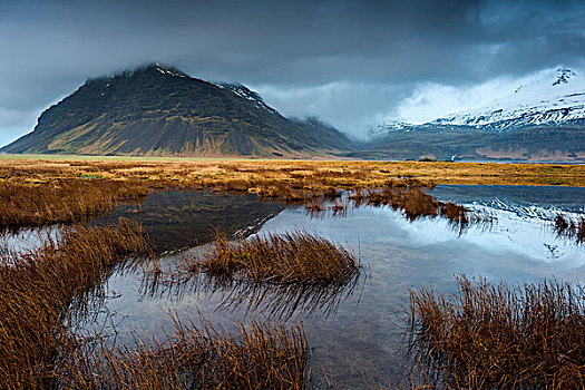 水塘,背景,东南部,冰岛