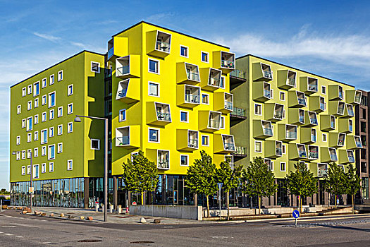 公寓,区域,哥本哈根,丹麦,欧洲