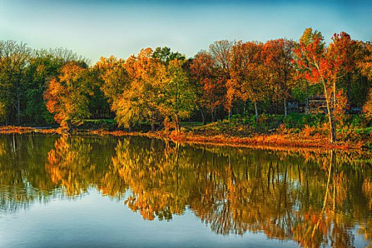 美国,印地安那,秋天,树,反射,河