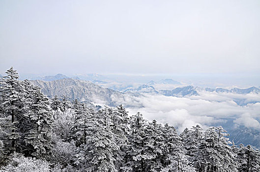 成都西岭雪山美丽雪景