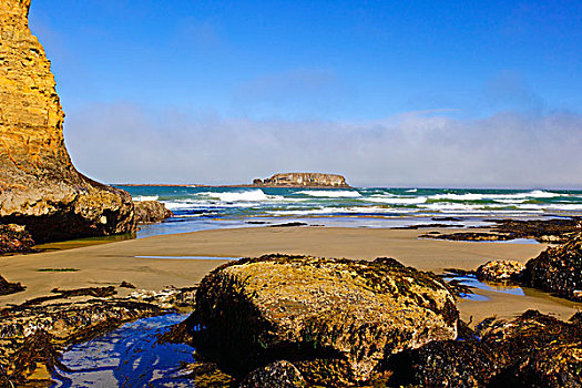 退潮,岩石构造,水獭,石头,海滩,俄勒冈,美国