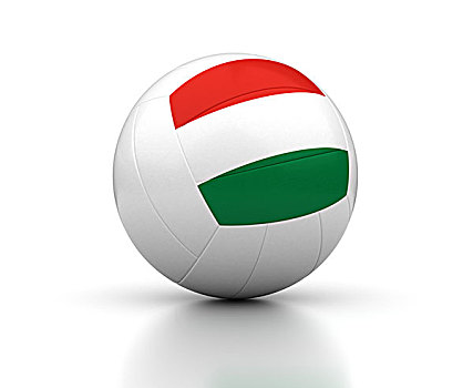 匈牙利,排球,团队