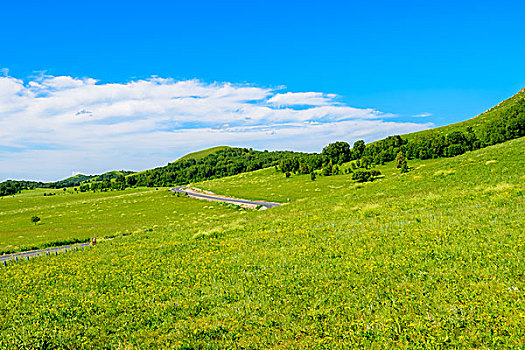 草原上的公路