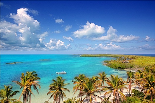 航拍,热带,加勒比岛屿,墨西哥