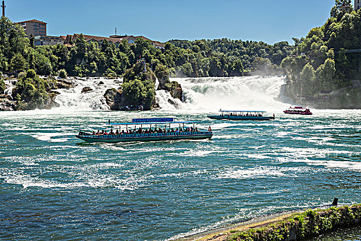 莱茵瀑布,沙夫豪森,正面,旅游,船,诺伊豪森,瑞士,欧洲