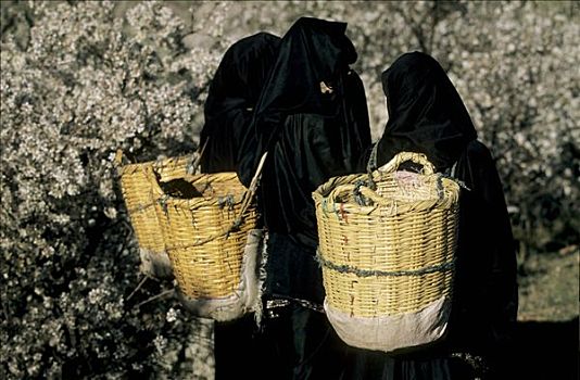 摩洛哥,三个女人,篮子,背影