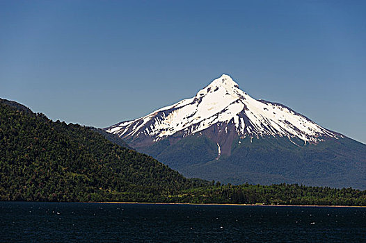 智利,巴塔哥尼亚,风景,渡轮