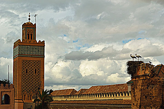 清真寺,德拉,城堡,随着,白色鹳,巢,天台,麦地那,马拉喀什,摩,非洲