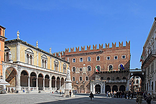 广场,历史,城镇,宫殿,雕塑,但丁,维罗纳,威尼托,区域,意大利,欧洲