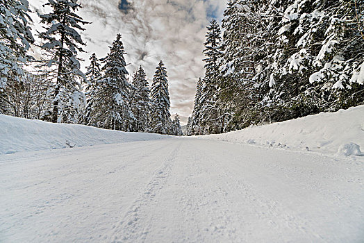 道路,冬天,冰,雪