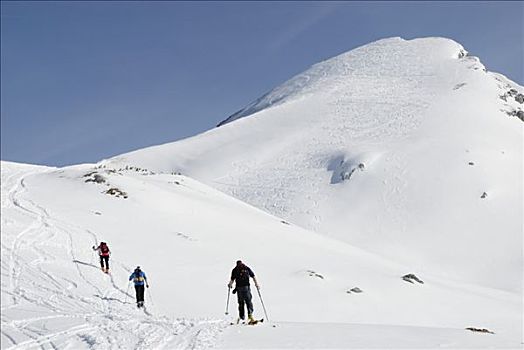 登山者,旅游,滑雪,雪,斜坡,向上,积雪,山峰,饰带,滑雪轨迹,提洛尔,奥地利,欧洲