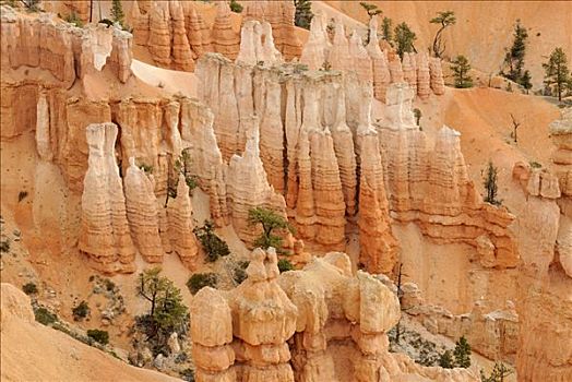 石灰石,尖顶,怪岩柱,布莱斯峡谷国家公园,犹他,美国