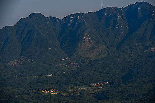 山,油菜花,春天,森林公园,驴友