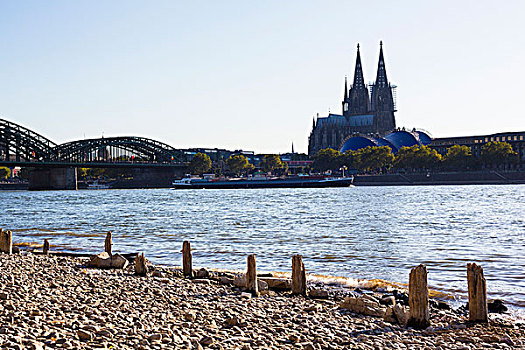 砾石,岸边,莱茵河,科隆大教堂,霍恩佐伦大桥,背景,科隆,北莱茵威斯特伐利亚,德国