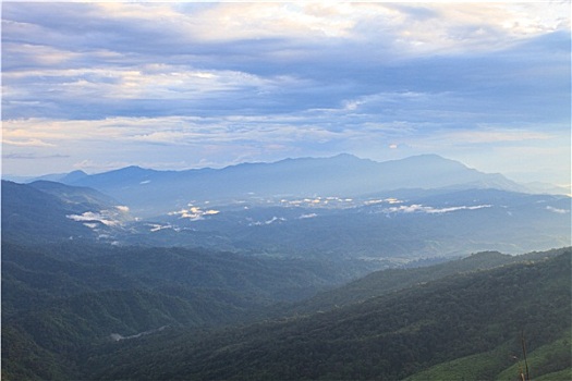 绿色,山,树林,上面