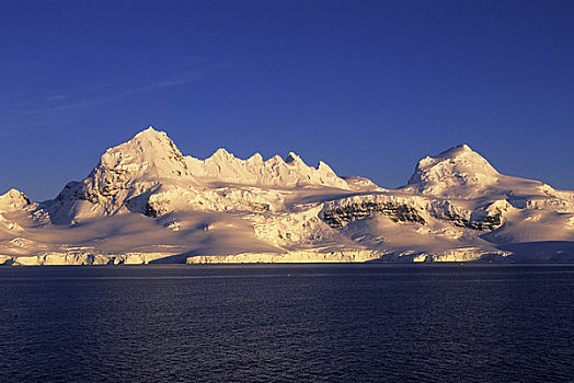 南极,半岛,区域