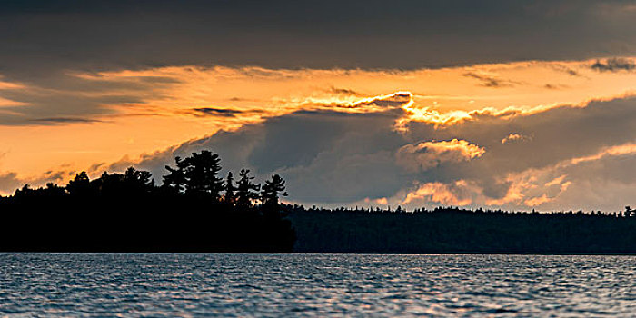 树,湖岸,黄昏,湖,木头,安大略省,加拿大