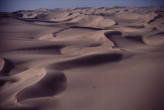 长角羚羊,羚羊,一对,沙丘,纳米布沙漠,纳米比亚