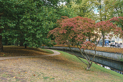 秋季公园景色,德国小镇策勒城堡花园