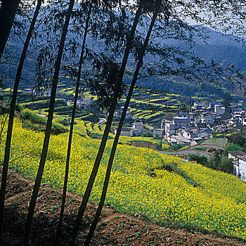 春天清凉峰山下的村庄