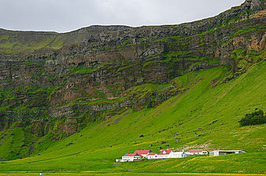 冰岛,南,靠近,农场