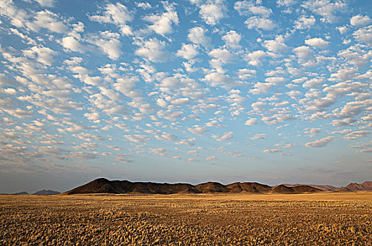 干燥,隔绝,山,脊,绒毛状,云,边缘,纳米布沙漠,夜光,荒野,自然保护区,纳米比亚,非洲