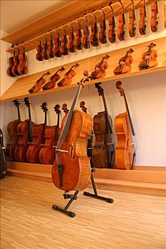 弦乐器,展示,小提琴,店