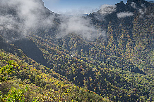 神农架林区天燕风景区初秋