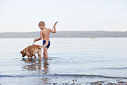 男孩,涉水,狗,海滩