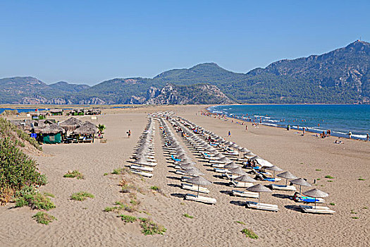 海滩,海龟滩,三角洲,土耳其,爱琴海