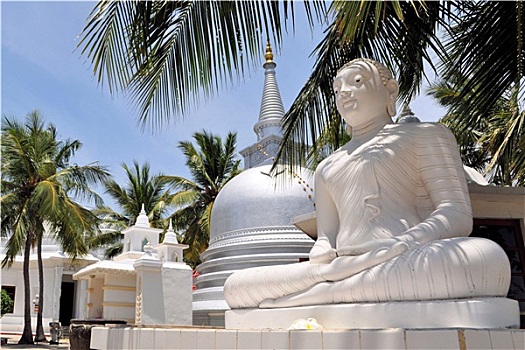 佛教,佛塔,棕榈树,斯里兰卡