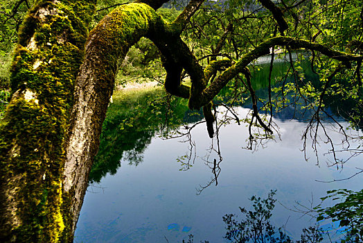 中国四川省九寨沟风景区