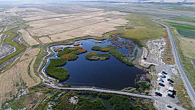 高家湖湿地生态公园