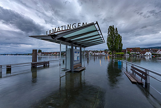 洪水,码头,康士坦茨湖,瑟尔高,瑞士,欧洲