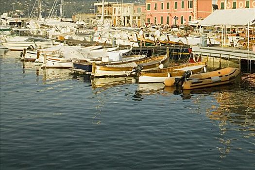 泊船,港口,意大利,里维埃拉,热那亚,利古里亚