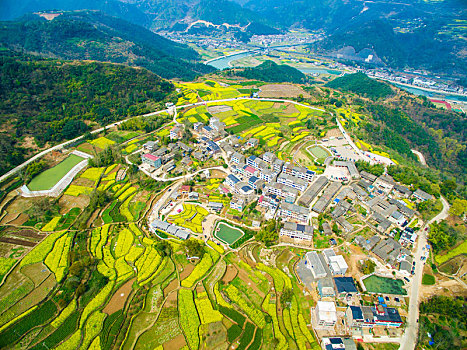 航拍,油菜花,线条,山村,田野