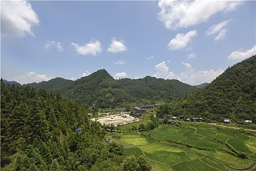 山间的绿色田地