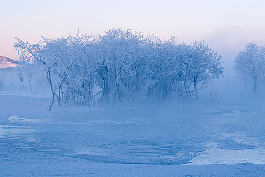 雪韵坝上