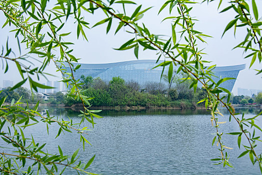 春天的锦城湖公园