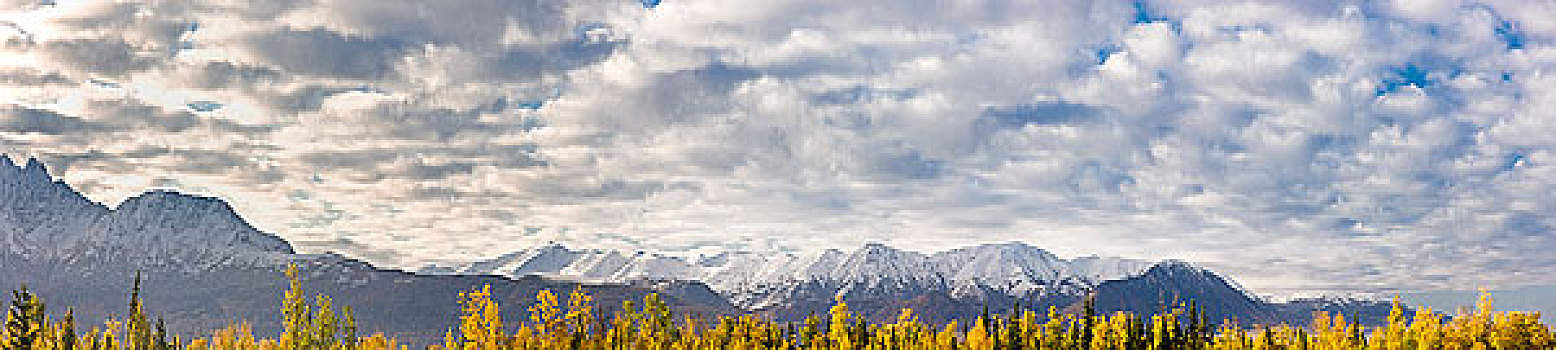 全景,积雪,楚加奇山,风景,阿拉斯加,秋天