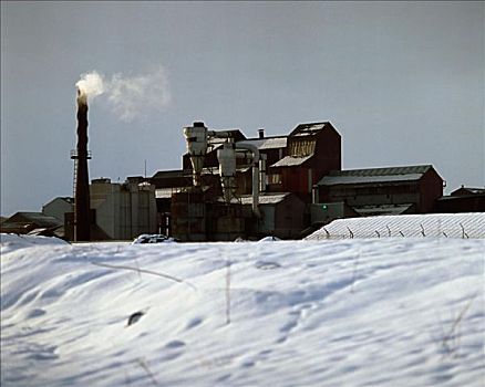 工厂,靠近,雪