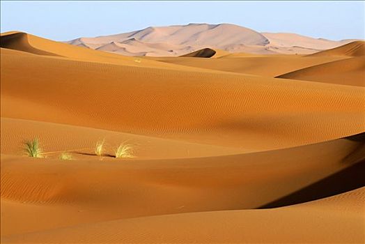 沙丘,梅如卡,摩洛哥,北非