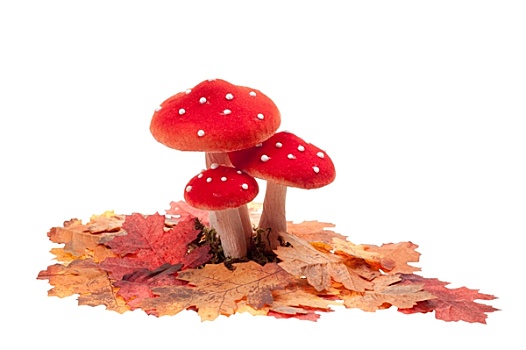红色,圆点,装饰,蘑菇,叶子,隔绝