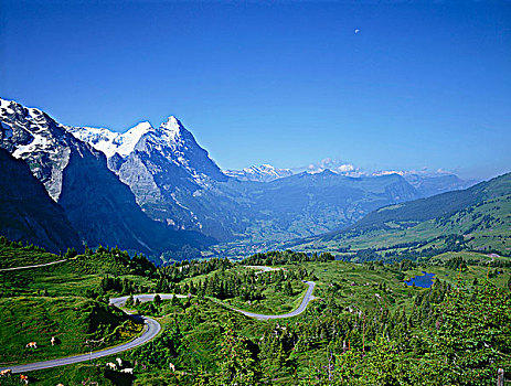 艾格尔峰,山,格林德威尔,瑞士